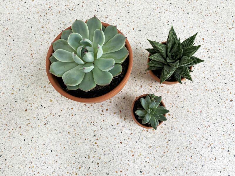 C&rsquo;est quoi le terrazzo ?